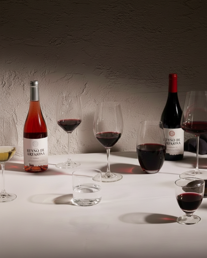 Visita guiada con cata de vinos DO Navarra