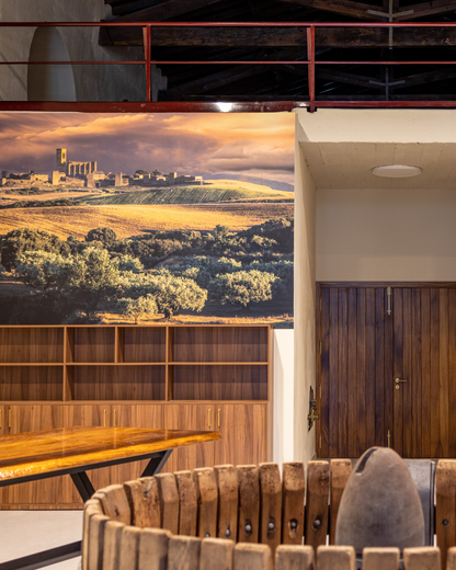 Visita guiada con cata de vinos DO Navarra