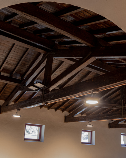 Visita guiada con cata de vinos DO Navarra